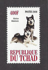 Dog Art Photo Full Body Study Postage Stamp ALASKAN MALAMUTE Chad 2010 MNH