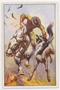 FANG JUNGEN GNUS CAPTURE WILDEBEEST GNOU JAGD FANG IMAGE CARD 1930's - Picture 1 of 2