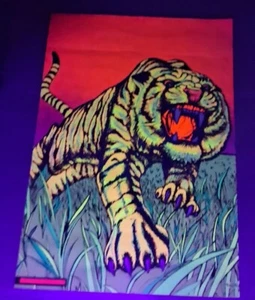 1979 PRO ARTS MEDINA OHIO TIGER beflockt ORIG Schwarzlicht Poster 18-923 M.H.STE. - Bild 1 von 8