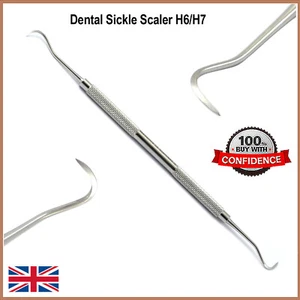 Dental Veterinär Sichel Scaler Hygieniker Instrumente Tier Haustier Pflege Werkzeuge - Bild 1 von 3