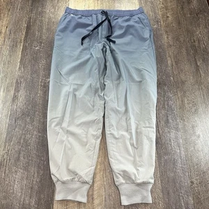 FIGS Scrub Pants Womens FreeX Lined Zamora Joggers Ombre Nurse Medical Large - Picture 1 of 14