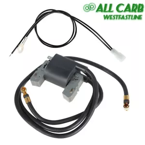 Für Briggs & Stratton 394891 Doppelzylinder ZÜNDSPULE / MODUL 16-18 PS - Bild 1 von 10