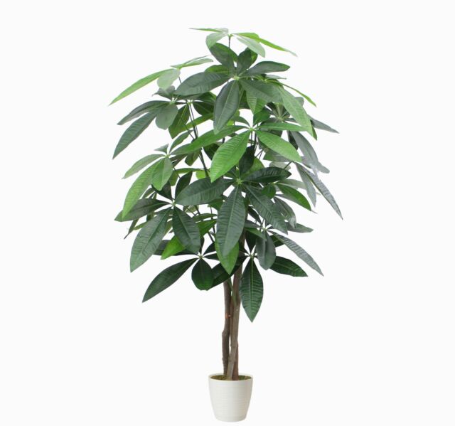 Pure Garden Árbol de bambú artificial: hojas ajustables falsas de 6 pies y  plantas artificiales para interiores para decoración del hogar, restaurante