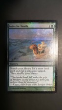 Coldsnap ** Into the North (FOIL) ** Mtg Magic (EX/SP)