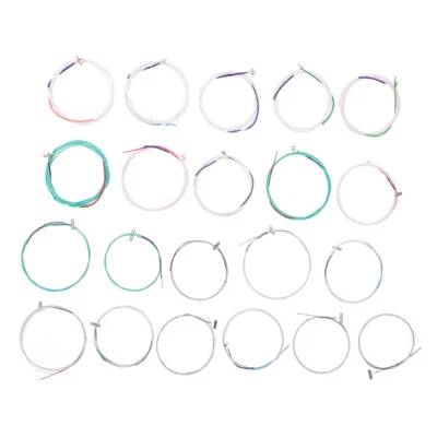 21PCS Delicate Nice Full Set General Guzheng strings 1- 21 Strings for Show Home - Image 1 of 4