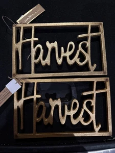 Lotto di 2 sottopiatti autunnali Harvest Thanksgiving bellissimi nuovi con etichette! - Foto 1 di 1