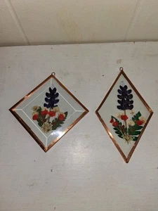 Juego De Colección De 2 Flores Prensadas Colgante Atrapasoles Borde Cobre Borde Biselado - Imagen 1 de 7