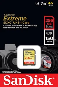 Sandisk 256GB FS extreme DVX200 best 4K HD SD card fo Panasonic UX90 X1000 HC-X1 - Picture 1 of 3