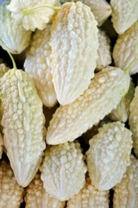 12+ ORGANICS • White Jade Bitter Melon Seeds. NON-GMO • USA - Free Shipping! - Picture 1 of 10