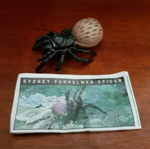 Yowies - SYDNEY FUNNELWEB SPIDER - with Papers - FAST POST - Picture 1 of 1