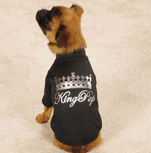 Zack & Zoey King Pup Dog T-Shirt Tee Black Pet Top Crown