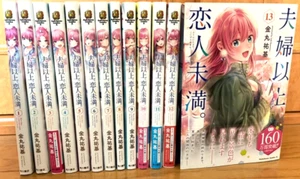 Cómic manga japonés más de una pareja casada, pero no amantes Vol.1-13 - Imagen 1 de 7