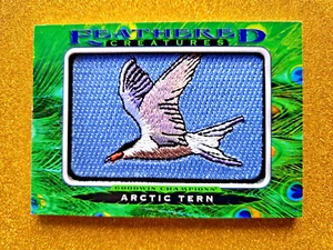2021 UD Goodwin Champions Feathered Creatures Arctic Tern FC-15 Mint 1:80 Hobby - Picture 1 of 4