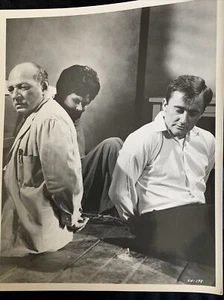 Robert Vaughn The Man From Uncle Publicity 8 X 10 Original MGM - Picture 1 of 2