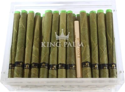 King Palm | XXL | Natural | Hojas de palma preenrolladas | 35 rollos y 5 palos de embalaje Foto 1 de 4