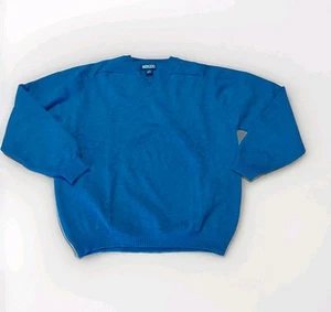 Lands End Sweater Mens Large Blue Lambs Wool V Neck Knit Scotland - Picture 1 of 8