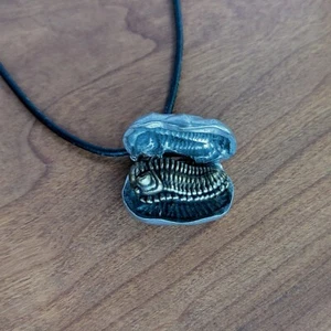 Collar Nódulo Trilobite Eldredgeia venustus - Colgante de Concreción Trilobite - Imagen 1 de 4