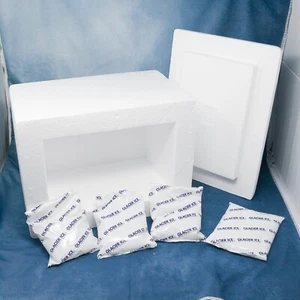 Styrofoam Insulated Shipping Mailer Cooler + 4 Ice Packs : PERISHABLES MEDS FOOD - Picture 1 of 5