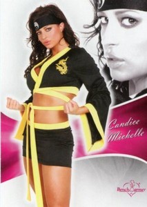 2011 Bench Warmer Bubble Gum #96 - Candice Michelle