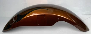 New Kawasaki Genuine Accessory Front Fender, Lucky Custom Paint, K51001-218 - Picture 1 of 5