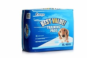 all absorb training pads