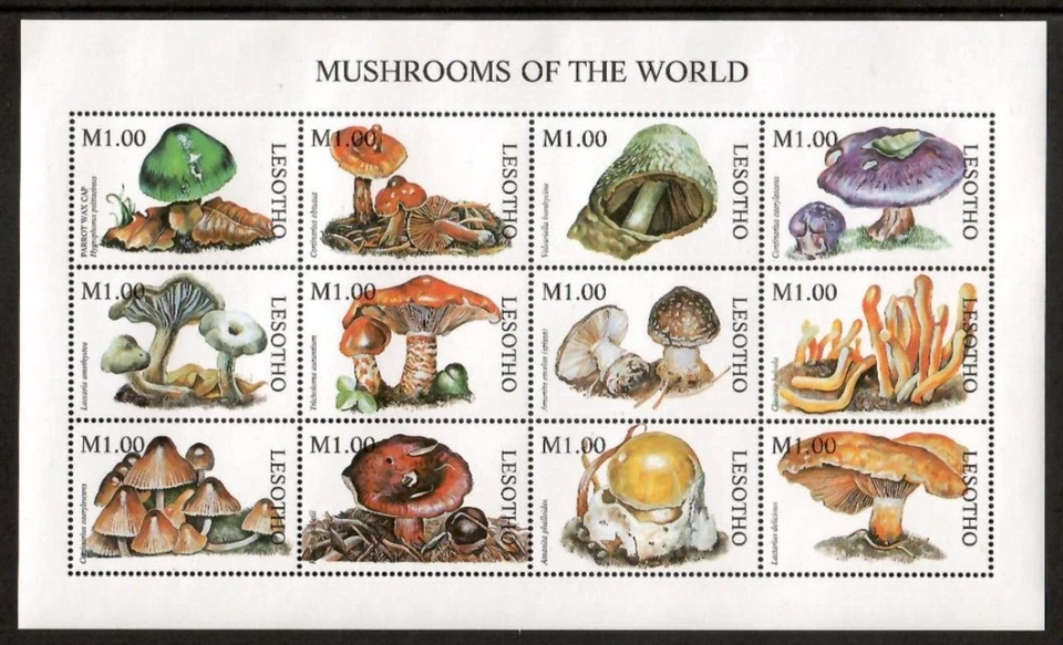 Lesotho 1998 - Mushrooms - Sheet of 12 Stamps - Scott #1114 - MNH - Image 1 of 1