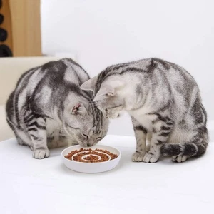 Cat Slow Feeder Napf, Keramik Slow Feed Katzennäpfe schwer und flach Wisker Stress - Bild 1 von 8