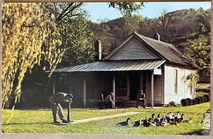 Postal de colección Lynchburg Tennessee Jack Daniel’s Cabin Men and Ducks c1960 - Imagen 1 de 6
