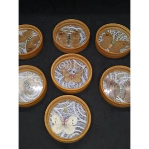 ¿Mariposa/polilla prensada vintage? /Juego de 7 posavasos de madera follaje - Imagen 1 de 12