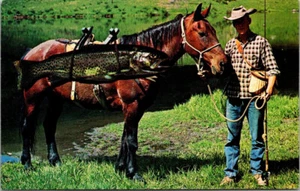 A89 Anthropomorphic Postcard Horse Fish Fishing Fun Humor Giant Trout Unposted - Picture 1 of 2