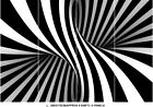 3D Zebra Abstract Swirls Pattern Wallpaper Mural Photo Home Room Poster Decor