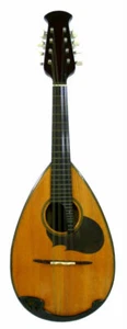 Japan Suzuki M20 Bowlback Solid Spruce Maple Mandolin OJMN189 - Picture 1 of 12