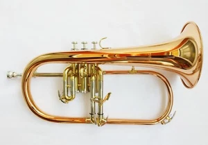 Flugelhorn Kit Red Brass Bb Key Cupronickel sliding Pipe water key  Case new - Picture 1 of 5