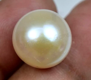 14.75 Ct Natural Australian South Sea Pinkish Pearl Certified Untreated Gemstone - Picture 1 of 6