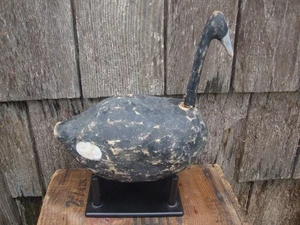 ROOTHEAD COOT DECOY PRIMITIVE OBX CAROLINA LURE ANTIQUE DUCK - Picture 1 of 4