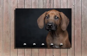 Personalisierte Hundegarderobe – Leinenhalter mit Haken – Wandhalterung foto - Picture 1 of 23