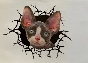 3D Cute Puppy Kitten Wall Sticker Bathroom Toilet Cupboard Home Decoration Decal - Picture 1 of 16