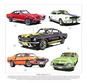 Estampado Bellas Artes SHELBY MUSTANG - GT350 Cupé Fastback GT350-H GT500KR ilustrado - Imagen 1 de 1