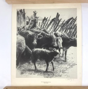 Robert "Shoofly" Shufelt "The Paulden Mothers" Print ~ Signed ~ 14" x 16" ~ VG - Picture 1 of 9