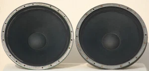 Speaker klang film FieldCoil FullRange VINTAGE pair 15" Horn Theater 1930's 18" - Picture 1 of 9