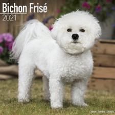 Bichon Frise 2021 Dog Breed Calendar 15% OFF MULTI ORDERS!