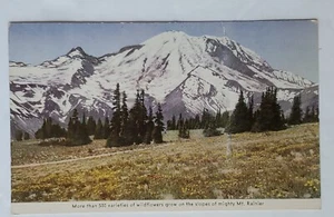 Postcard MORE THAN 500 varieties wildflowers on slopes of Mt. RAINIER WASHINGTON - Picture 1 of 7