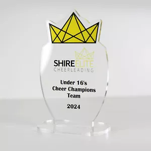 ACRYLIC COLOUR TROPHY AWARD CUSTOM DESIGNED FOR CHEERLEADING ACHIEVEMENT - Picture 1 of 3