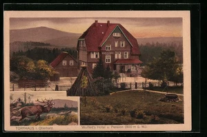 Torfhaus i. Harz, Ansichtskarte, Wulfert´s Hotel u. Pension, Röhrender Hirsch  - Picture 1 of 2