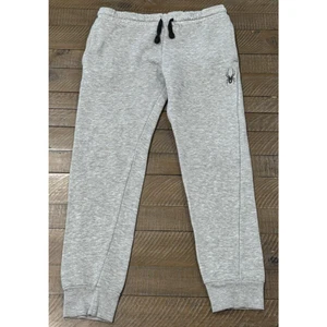 Spyder Gym Pants Joggers Sweatpants Gray Boys Teens Size - M (10-12) - Picture 1 of 6