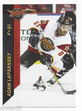 2015-16 Indy Fuel (ECHL) Adam Lapsansky (HK Dukla Trencin)