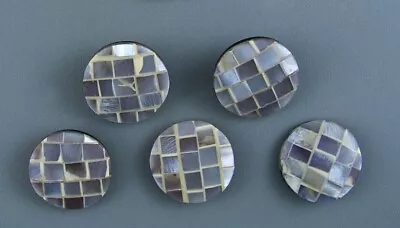 SHELL CLOTHING BUTTON - SET OF 5 - Image 1 of 3