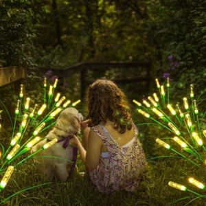 Solar Garden Lights Stake Lights Outdoor Waterproof Pathway Decor Yards 2PCS - Picture 1 of 15