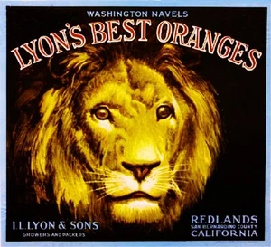 Redlands Lyon's Best Lion Head #01 Orange Citrus Fruit Crate Label Art Print - Picture 1 of 1