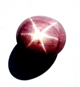 Beautiful 15.33 Ct., 14x13 mm Indian Star Ruby, Loose Stone - Picture 1 of 4